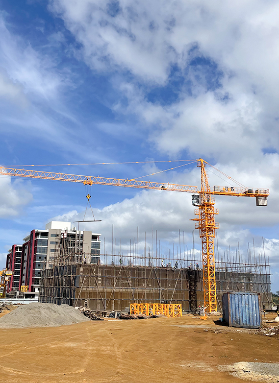 Proiect QTZ50 (5010) Turn Crane în Mauritius